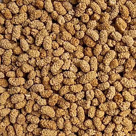 500 Gr. Doğal Kuru Dut – Katkısız ve %100 Yerli