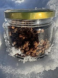 Doğal Perga (Arı Ekmeği) 100 gr – Saf ve Katkısız