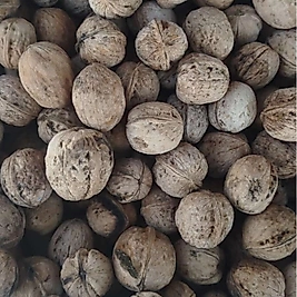 500 Gr Bitlis Hizan Cevizi – Doğal ve Taze Lezzet