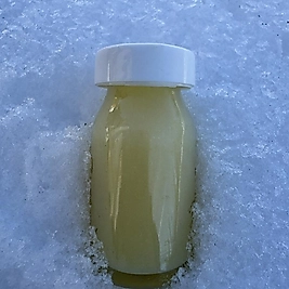 Doğal Arı Sütü 10 gr – Taze ve Saf